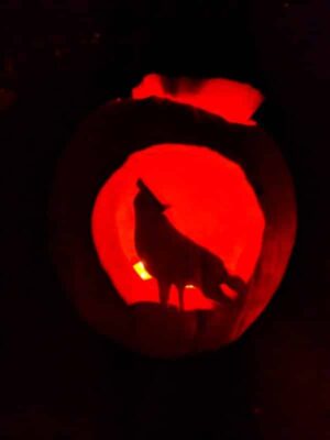 Kürbiss Halloween Wolf