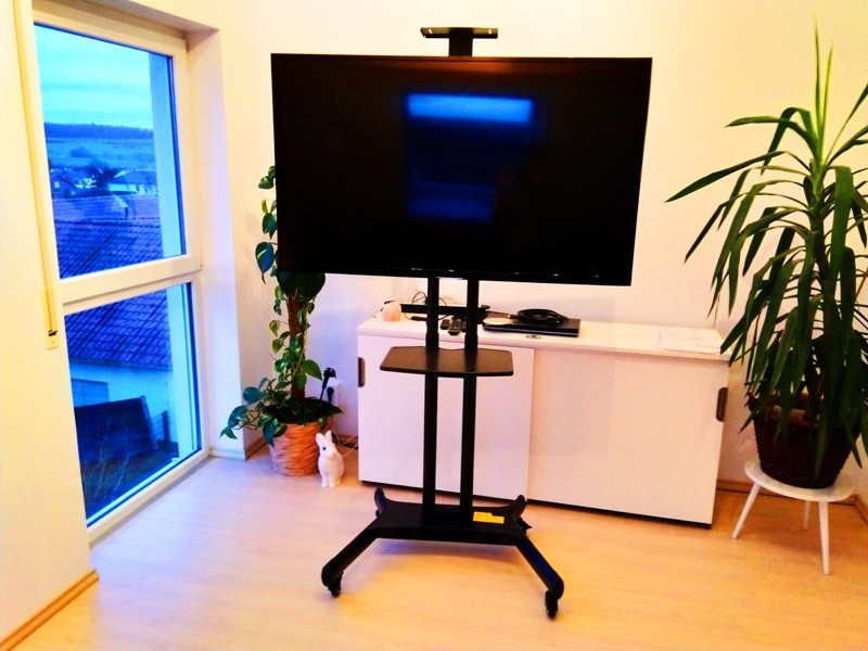 ScreenStation Mobiler TV Ständer