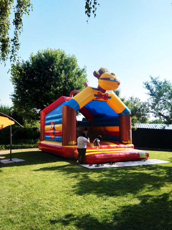 huepfburg-affe-23986