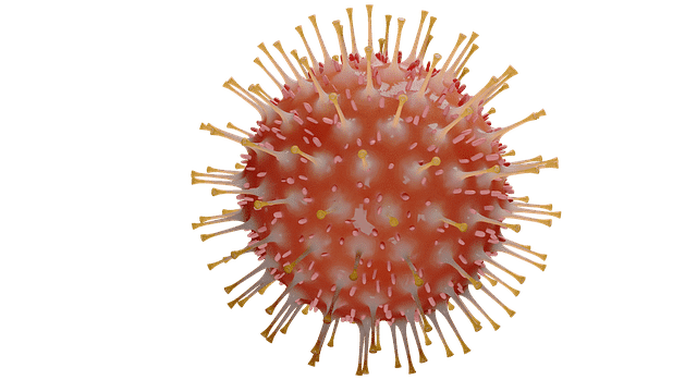 Corona Virus